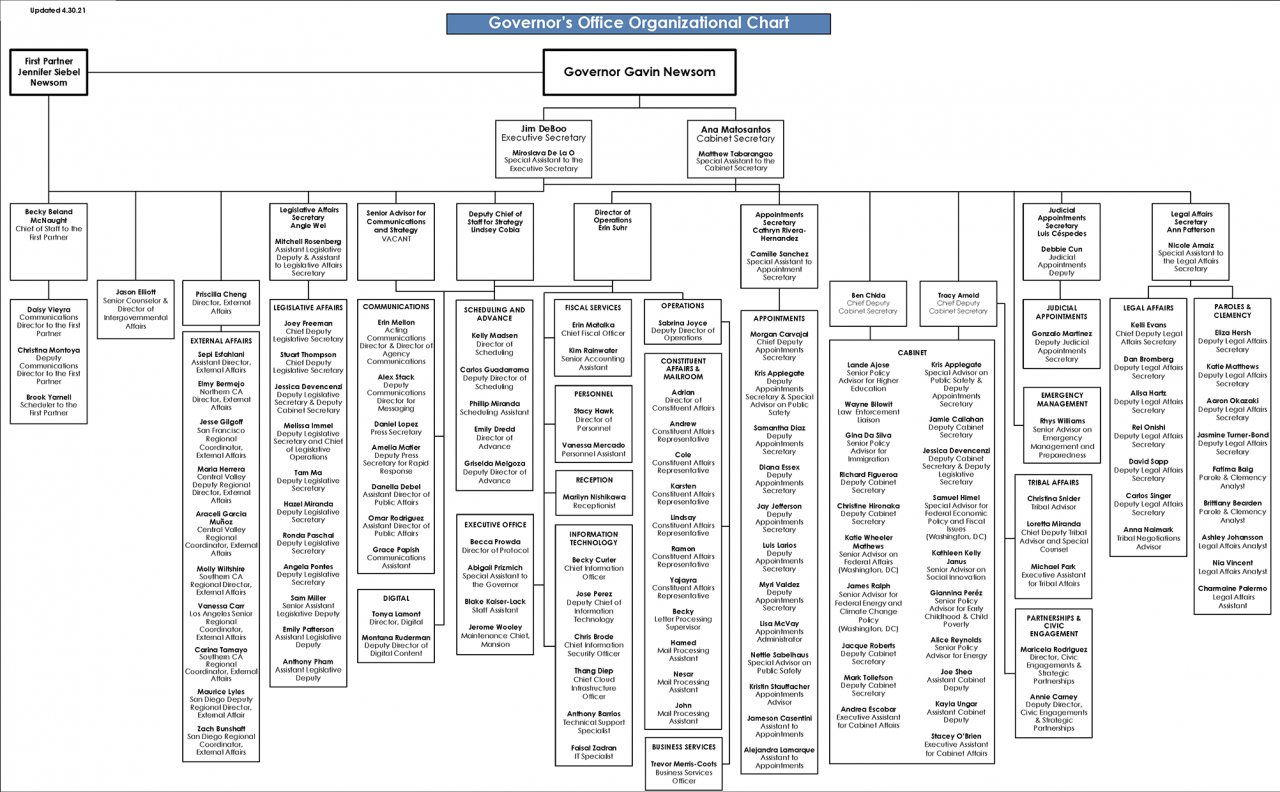 California Government Organizational Chart