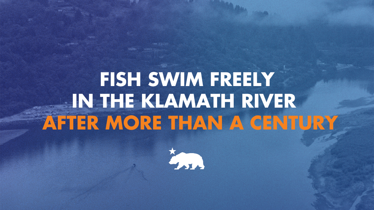 Fish are swimming the Klamath River freely for the first time in more ...