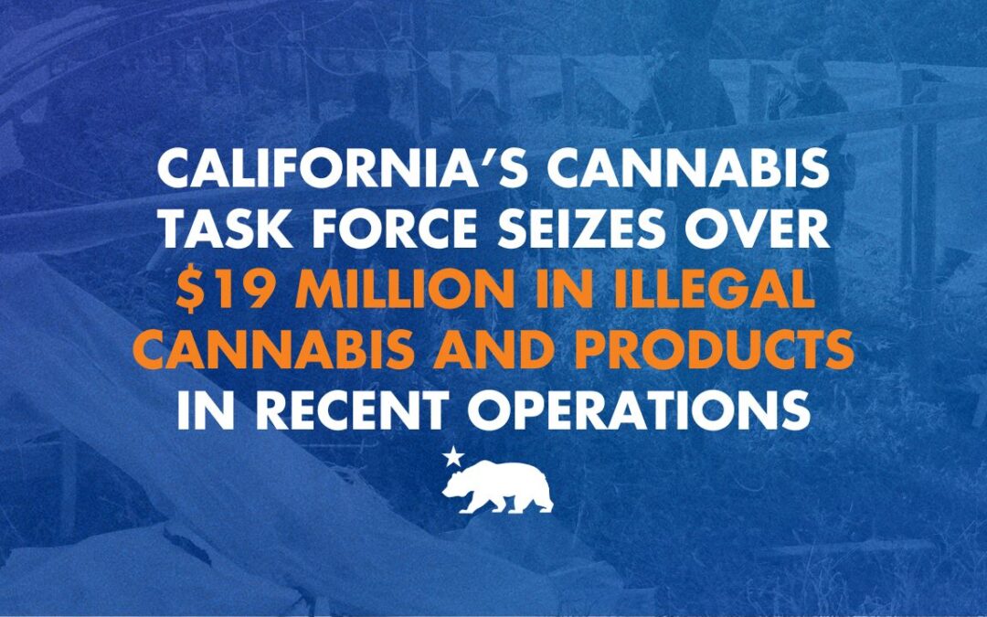 California’s cannabis task force seizes over $19 million in illegal cannabis and products in recent operations